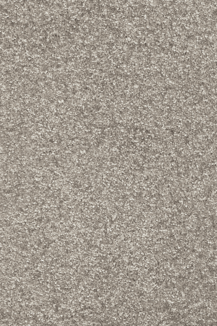 Arion 49